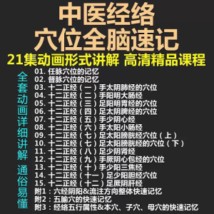 中医经络穴位全脑速记视频教学快速记忆动画形象加深记忆课程教程-料星球资源社