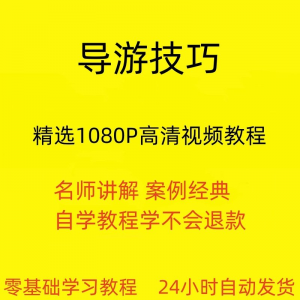 导游技巧视频教程新手自学零基础入门精通教学课程全集-料星球资源社