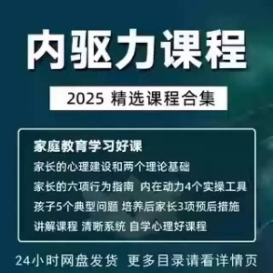 内驱力培训课程培养孩子自觉性提升内在亲子教育学习电子版资料-料星球资源社