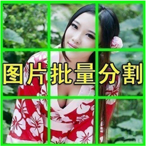 图片批量切割软件 图片批量分割工具 批量切图器 图片批量裁剪-料星球资源社