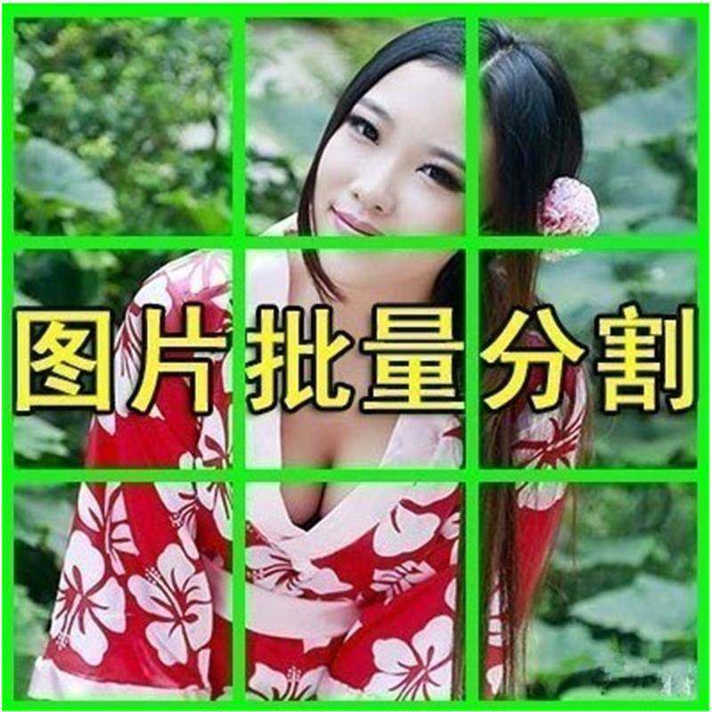 图片批量切割软件 图片批量分割工具 批量切图器 图片批量裁剪-料星球资源社