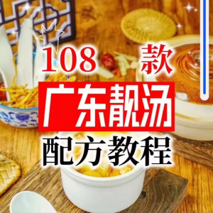【拍下即送】108种广东靓汤视频教程100+广府靓汤商用技术实体店-料星球资源社