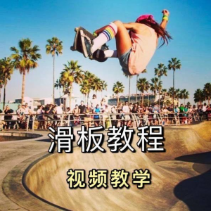 长板滑板双翘滑板教学视频教程初学者新手零基础入门自学花样刷街-料星球资源社
