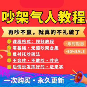吵架指南教程视频全集从入门到精通技巧培训学习在线课程素材资料-料星球资源社