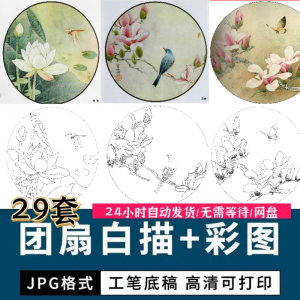 工笔花鸟白描国画团扇线描底稿彩图临摹参考电子版高清图片素材库-料星球资源社