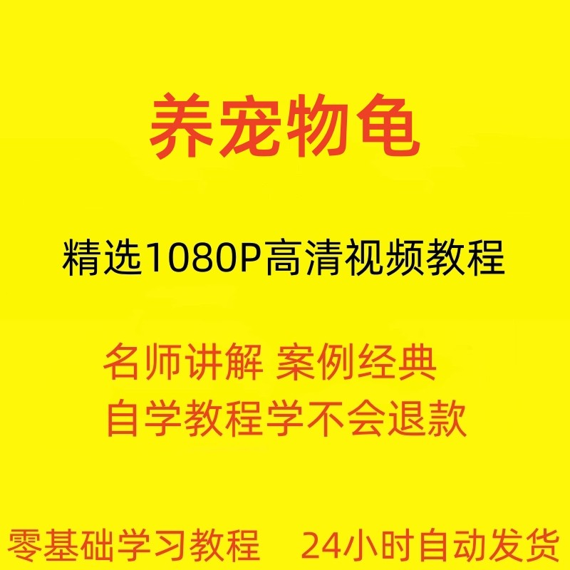 养宠物龟饲养视频教程全套从入门到精通技巧培训学习在线课程-料星球资源社