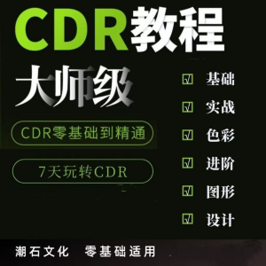 cdr教程视频Coreldraw自学平面设计广告排版零基础入门学习课程-料星球资源社