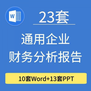 23套通用企业公司年度财务分析报告word电子文档模板PPT演示-料星球资源社