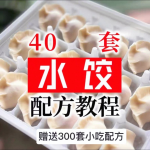 【0.01秒发】40套水饺技术配方 特制技术视频教程-料星球资源社