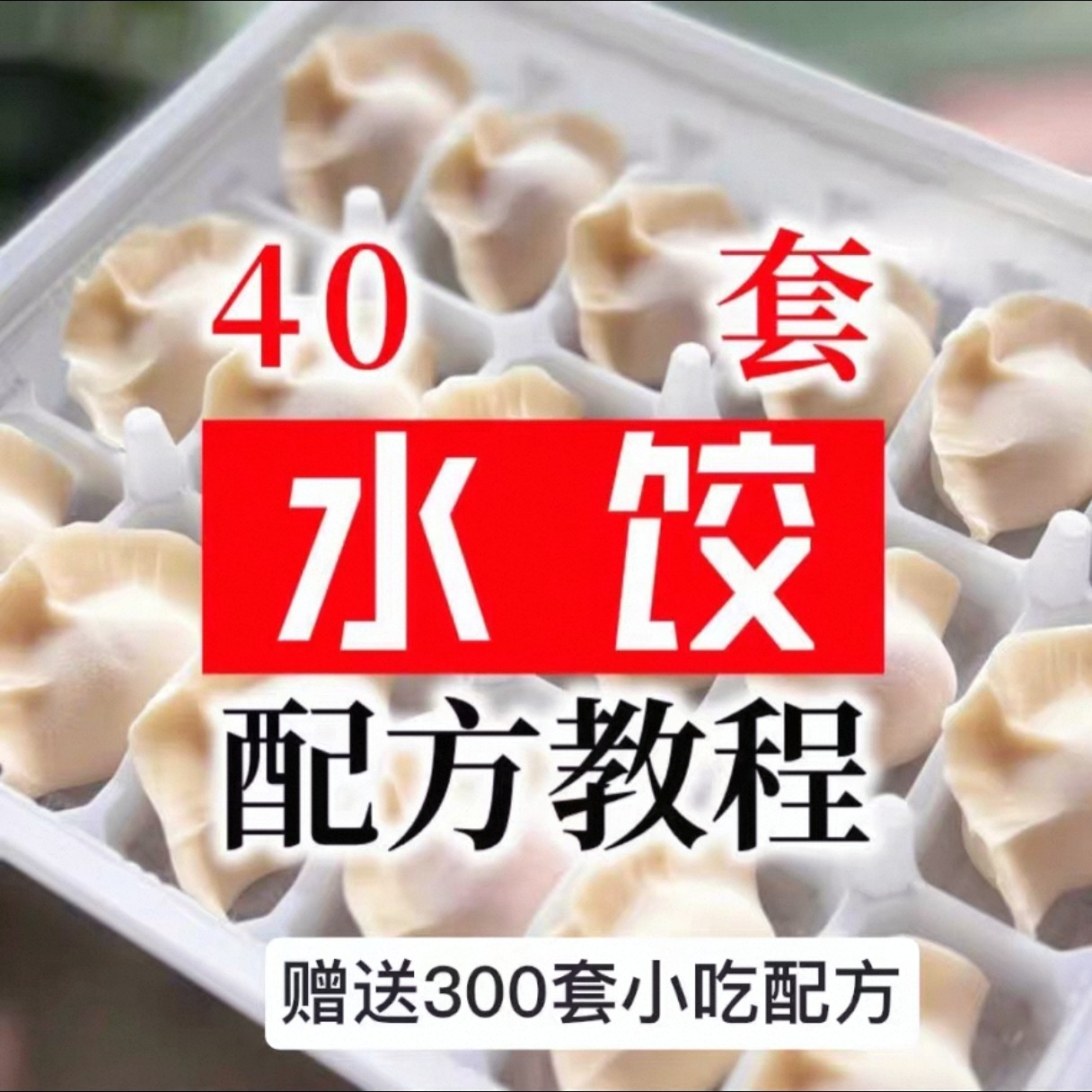 【0.01秒发】40套水饺技术配方 特制技术视频教程-料星球资源社