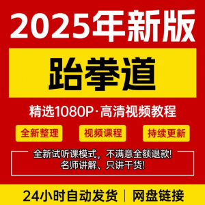 2025跆拳道视频教学课程零基础学习入门竞技跆拳道培训技术教程-料星球资源社