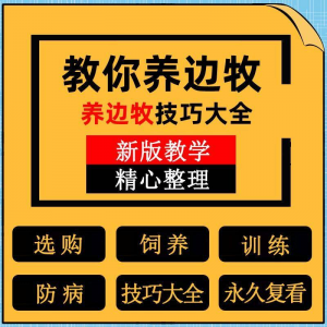 边牧训练方法教程边境牧羊犬驯养技术饲养喂养选购训犬技巧大全套-料星球资源社