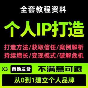 个人IP打造教程如何快速打造个人IP社交品牌定位训练营资料大全新-料星球资源社