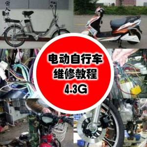 学电动车维修技术电动自行车维修技术电瓶修复技巧视频教程教学-料星球资源社
