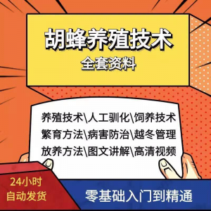 胡蜂养殖技术蜜蜂视频资料黄蜂黑盾怎样养胡蜂人工饲养教程大全-料星球资源社