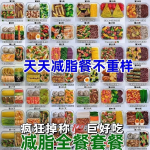 减肥食谱电子版课程 减脂餐一日三餐指导科学健康瘦身配餐计划-料星球资源社