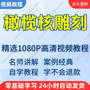橄榄核雕刻视频学习教程新手自学零基础入门精通教学课程全集-料星球资源社