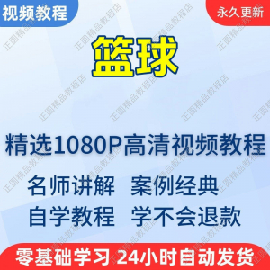 篮球打篮球学习高清视频教程新手自学零基础入门精通教学课程全集-料星球资源社