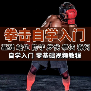全套拳击指导视频教程自学零基础小白入门自卫搏击格斗防护资料-料星球资源社