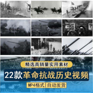 抗日战争解放战争革命斗争长征精神历史纪录片影像资料视频素材-料星球资源社