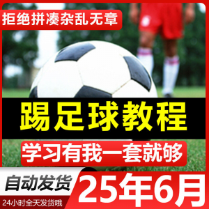青少年踢足球技巧与足球教学全套视频教程从入门到精通基础视频课-料星球资源社