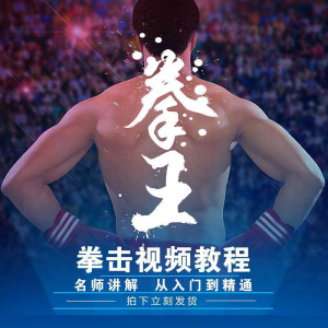 拳击教学视频 自学教程 训练零基础运动入门健身搏击格斗武术课程-料星球资源社